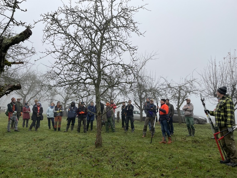 Bäume pflegen, Landschaft erhalten, Gemeinschaft erleben