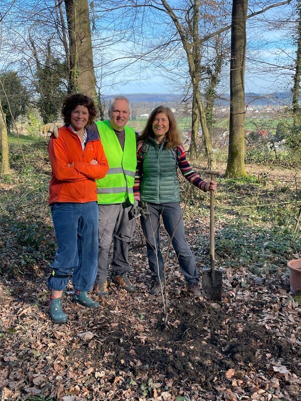 Pflanzaktion im Heuweilemer Wald wurde durch eine Baumspende ermöglicht