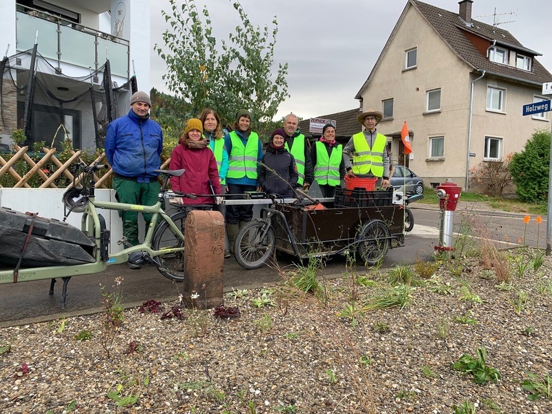 Artenreiche Wildstaudenpflanzung verschönert Dorfbild